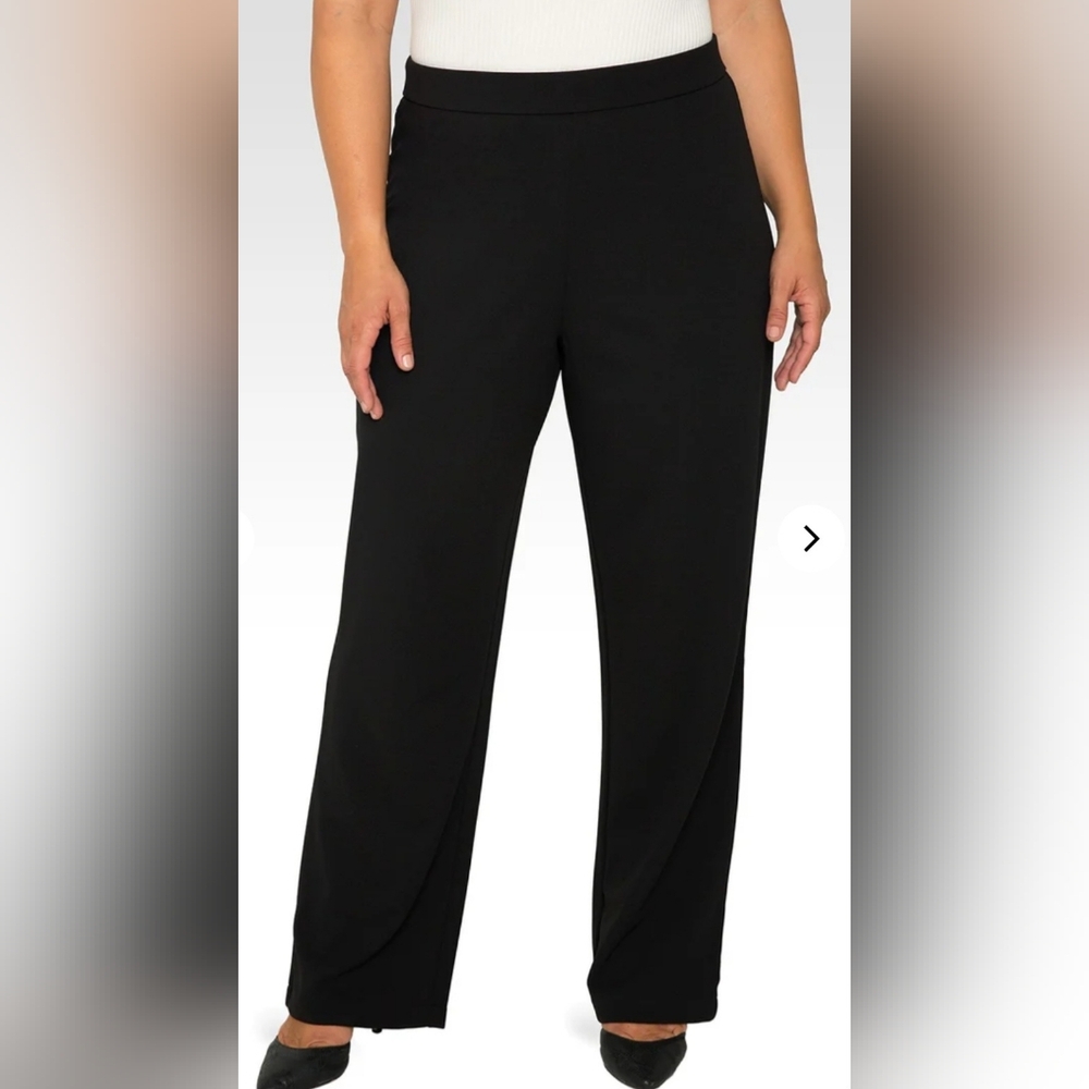 NWT Standards & Practices Black Straight Leg Pants Size 20